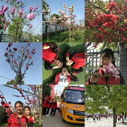 "善德文化"彰显办学特色 师生同心打造成长乐园